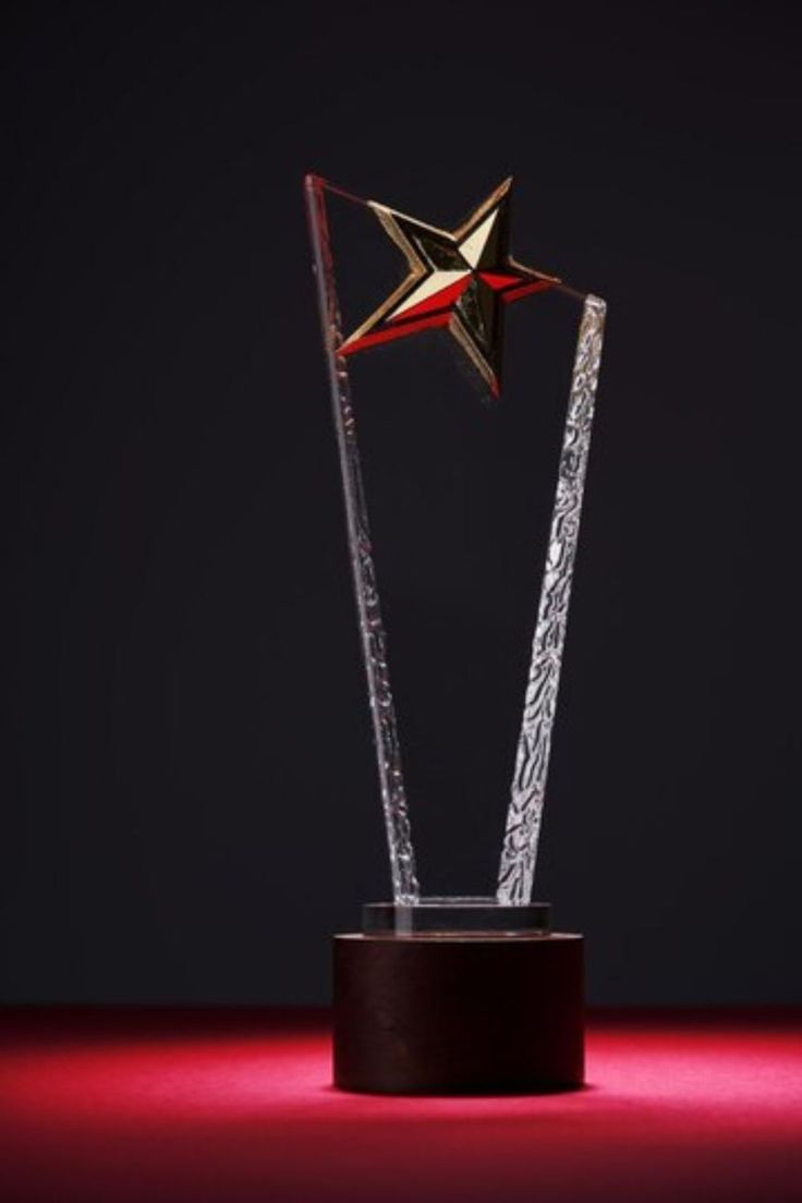 Leadership Excellence Award